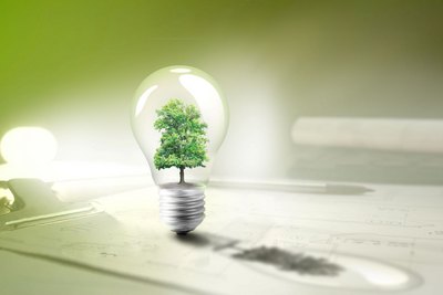 Glühbirne, in der sich ein kleiner Baum befindet steht auf einem Tisch mit Bauplänen